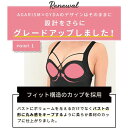 アガリズム ナイトブラ アップミースタイリングブラ