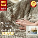 Epeios 電気ブランケット 9段階温度調節